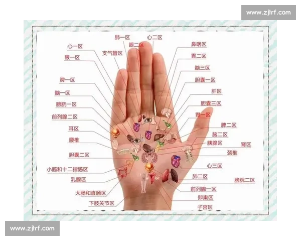 左右手力量差异暗藏健康密码：你的左手真的和右手一样有力吗？